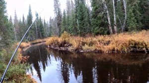 Баня своими руками в тайге. Устанавливаем банную печь. Жизнь в лесу. Добрые походы.