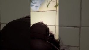 Банная печь на 2 помещения