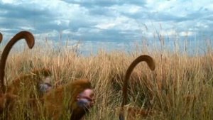 Ошибки Дикого Мира Будущего