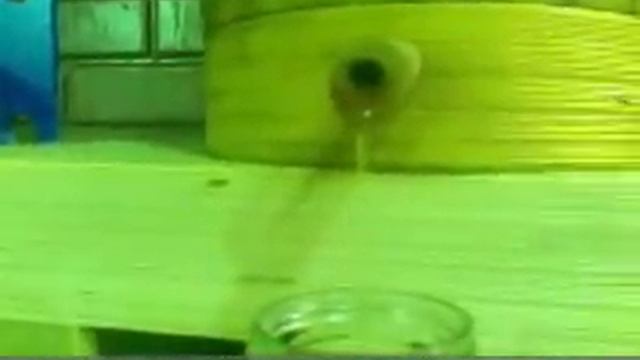 Конопляное масло. Холодный отжим. Дубовый пресс.
