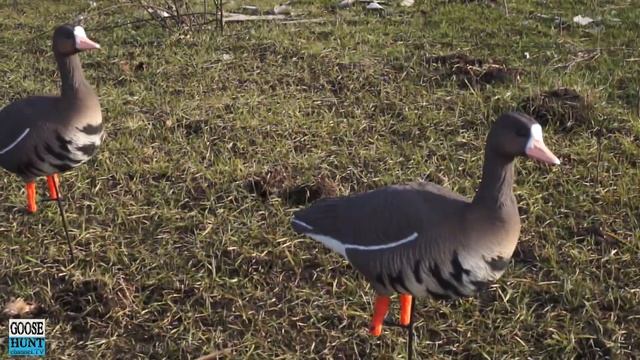 Прорыв Российского производства в индустрии охоты смотреть онлайн