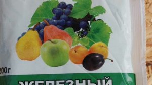 ЖЕЛЕЗНЫЙ КУПОРОС ДЛЯ ОБРАБОТКИ РОЗ / Можно ли обрабатывать розы железным купоросом