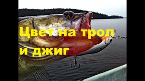 Цвет приманки на джиг и троллинг Сколько воблеров надо?