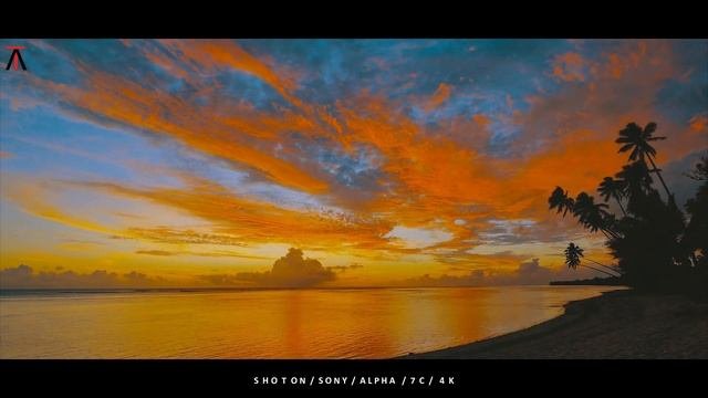 Sony Alpha 7C LOW LIGHT Footage Test | Alpha 7C WINS!
