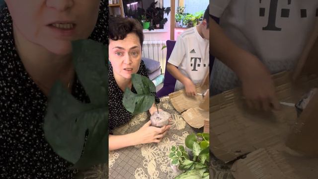 Посылка из Волгограда. Почта России.