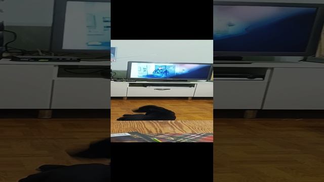 Чара