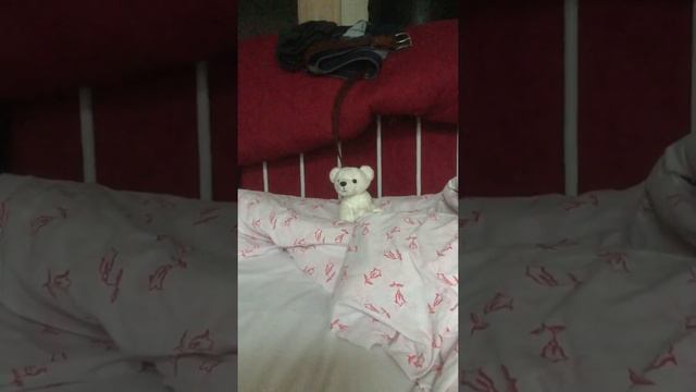 Как правильно вставать утром смотреть онлайн