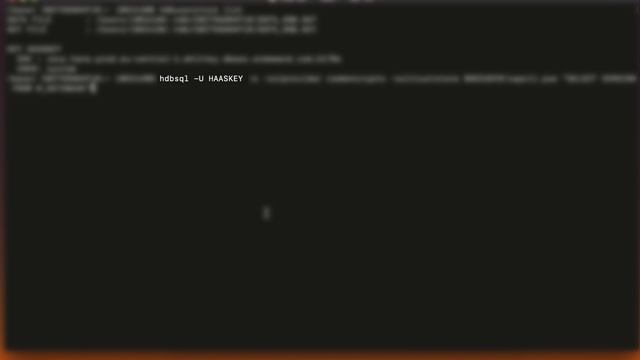 [2.0 SPS 04] SAP HANA Service (CF), Secure User Store - SAP HANA Academy смотреть онлайн