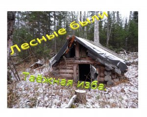 Таёжные избы. Лесная изба .