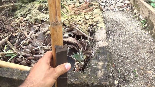 COMO HACER UN ARCO PARA CULTIVAR TREPADORAS ? // PASO A PASO MUY ECONÓMICO Y FÁCIL DE HACER.👍 смотреть онлайн