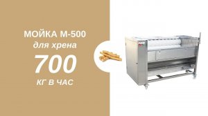 Мощная польская мойка-чистка для ХРЕНА и других корнеплодов 700 кг в час