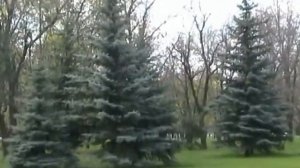 Желтые Воды  Весна 2010