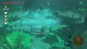 Где и как найти ВЫСШИЙ МЕЧ если нет 13 сердец в Zelda: BotW