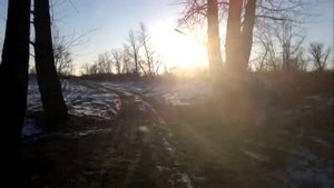 Дебаркадер на озере Денежном рядом с хутором Бобры.