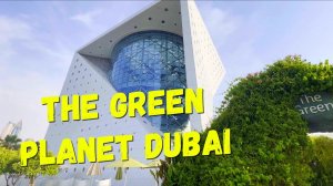 ДУБАЙ, ЗООПАРК The Green Planet Dubai, куда сходить с детьми и что посмотреть, ОАЭ 2023