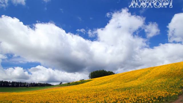 «Я - Автор» -Наталья Кваша смотреть онлайн