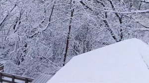 Кроем крышу профлистом на пристройке.