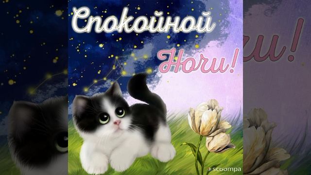 Позитивные пожелания в стихах спокойной ночи