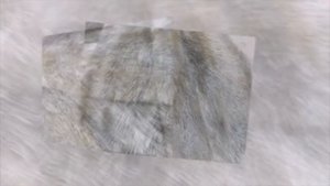 Выделка шкур в Омске