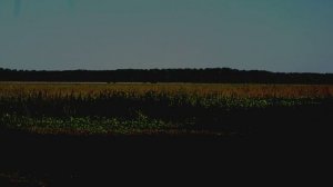 Иеромонах  Роман "Заночую в стогу"