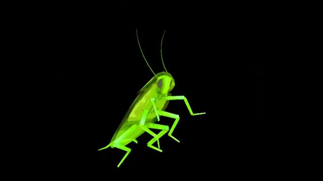 Тараканище смотреть онлайн