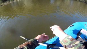 Ловим щуку на кружки