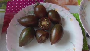 Томат Птичка-невеличка от Сибирского сада. Обзор сорта и дегустация.