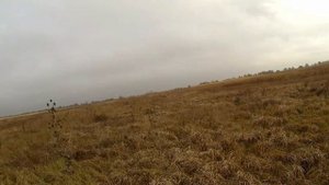 Охота на зайца в Ростовской области 08.11.2021 г.