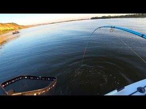 ВОТ ЭТО ПОПËРЛО !!! СОМЫ !!! САЗАНЫ !!! ТАКОЕ БЫВАЕТ 1 РАЗ В ЖИЗНИ!!! РЫБАЛКА