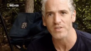 Львы людоеды