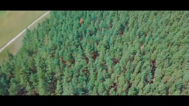 Видео зоны поселка Лесная Пристань смотреть онлайн