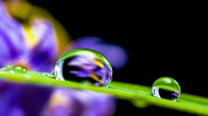 ☔️ Мгновенно усните за 3 минуты под звуки природы и ласковый шум дождя в лесу в тропиках 3 часа ?