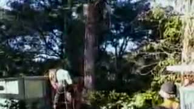 Подборка домашнего видео