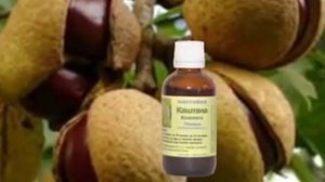 Смесь настоек отсердца и давления ВКПБП