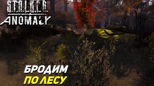 БРОДИМ ПО ЛЕСУ ➤ S.T.A.L.K.E.R. Anomaly #14