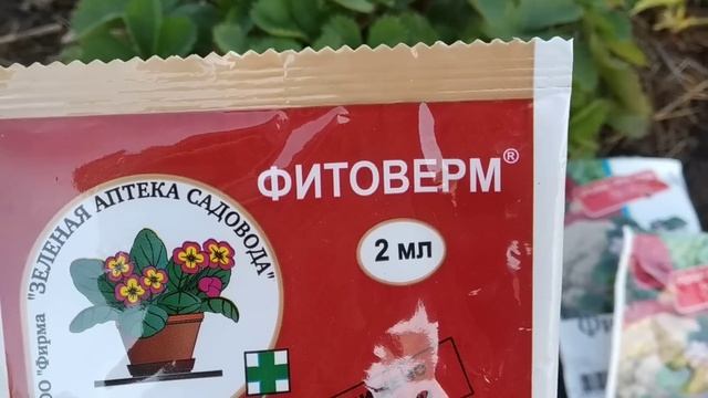 Весенняя обработка клубники от вредителей и болезней. Какие препараты я использую для этого. смотреть онлайн