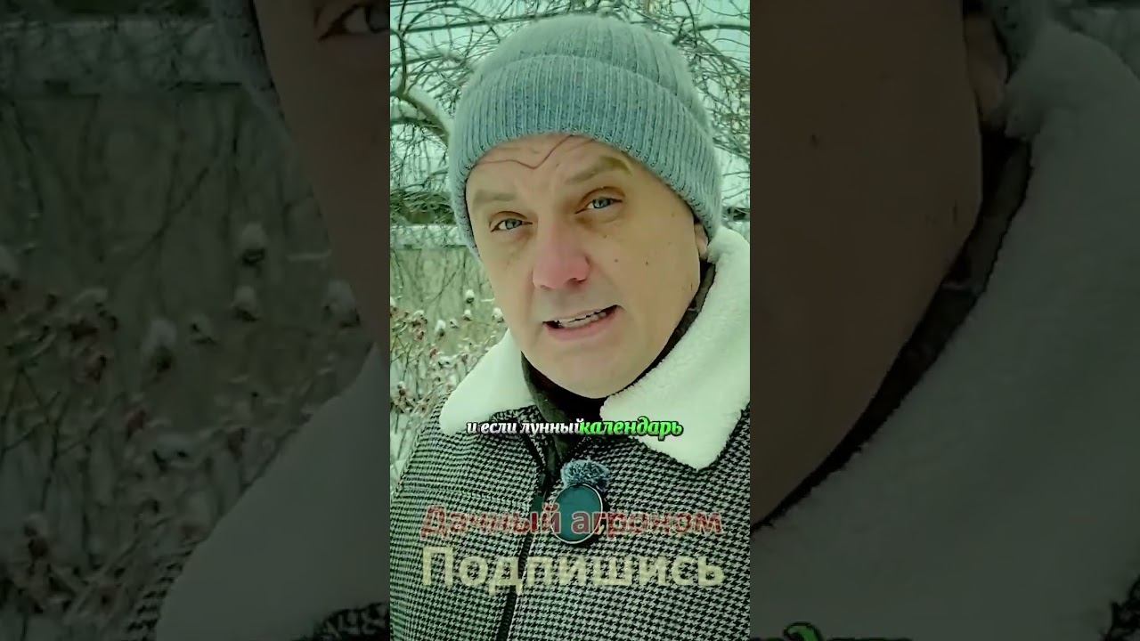 Как выбрать ЛУЧШИЙ лунный Календарь Дачный агроном