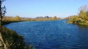 Природа Садовое Воронежская область