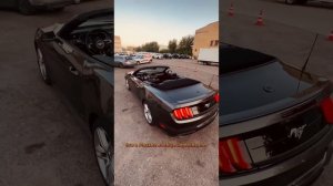 Ford Mustang 2.3 ecoboost в продаже. Состояние и комплектация топ ?Приезжайте смотреть ?