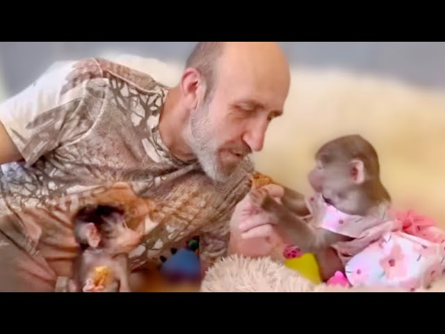 РАСПАКОВОЧКА! Люське и Степашка очень зашёл инжир, мы получили МНОГО ВКУСНЯШЕК)))