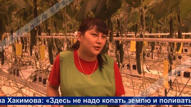 Агрокомплекс Горный