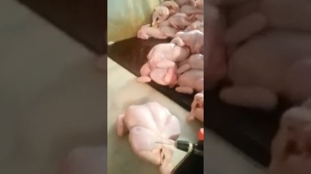 Курица, мясо - ЯД !!! Как надувают, шприцуют курицу Формалин