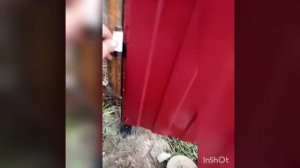 Как приварить петли на калитку, ворота, забор(самый простой способ)