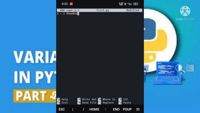 python main variables kaise banaye | How to create variables in python | pycode Master