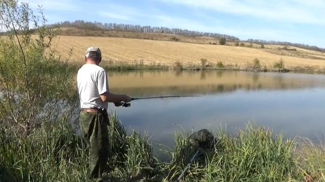 РЫБАЛКА САЗАН на 2700 кг. КАРПЫ. Хороший улов. Кубань предгорье Кавказа золотая осень Живите в Кайф! смотреть онлайн