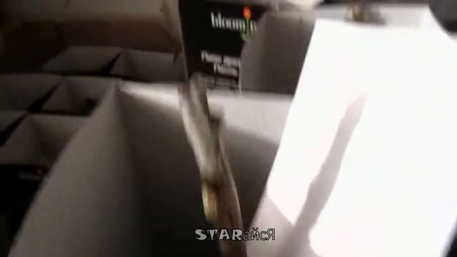 Декоративные и плодовые многолетники для Сибири 2018..... смотреть онлайн