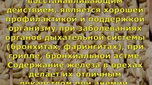 Когда нужно есть орехи кешью, а когда не стоит даже пробовать?