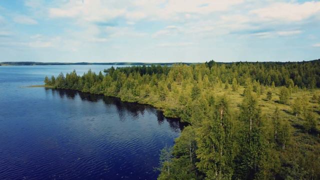 Dji Mini 2  Leningrad Region  Ленинградская область