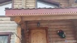 Ферма экзотических птиц «Калинин-парк» в Волгоградской области