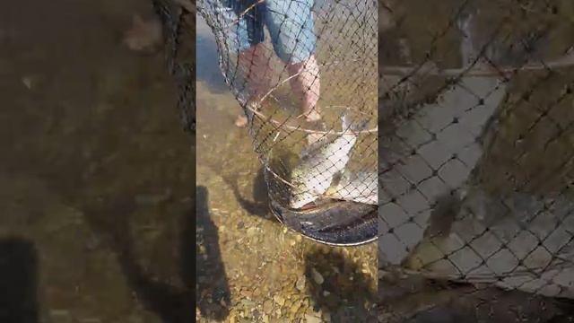 Набережные Челны/Рыбалка на Каме/Набережные Челны смотреть онлайн